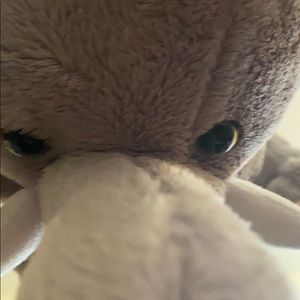 Meet your Posher, Irvin